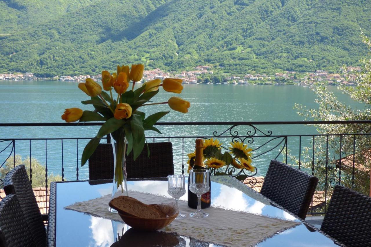 Isola Vista - Terrazzo Apartman Sala Comacina Kültér fotó